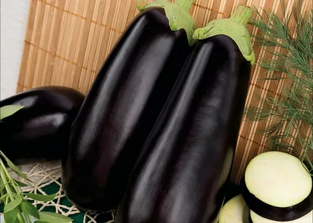 تصویر 2 از بهترین بادمجان گلخانه ای + قیمت خرید عالی